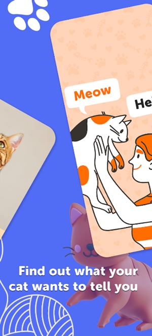 meowtalk喵说截图2