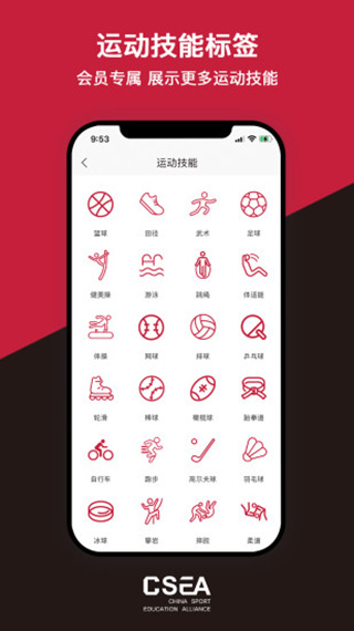 体教联盟截图1