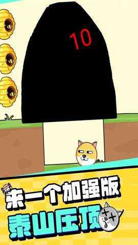 我的狗狗截图1