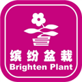 缤纷盆栽app