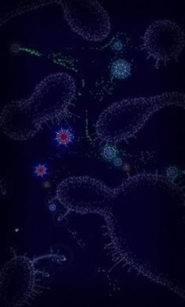 微观世界细胞的生存截图3
