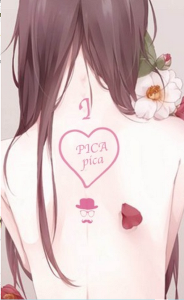 PicACG手机最新版截图1