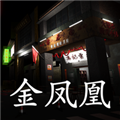孙美琪疑案金凤凰最新版