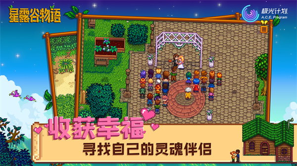 星露谷物语官方最新版截图3