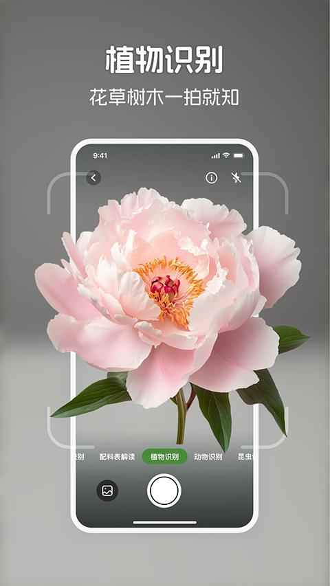 识花君截图3