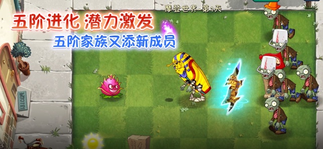 相关图片