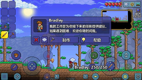 相关图片